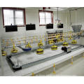 full complete automatic chicken flooring or ground feeding equipment with complete automatic feeding and drinking